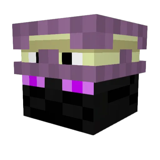 DarkSlinger999 Minecraft avatar head, 3D render