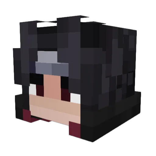 DarkSpacex Minecraft avatar head, 3D render