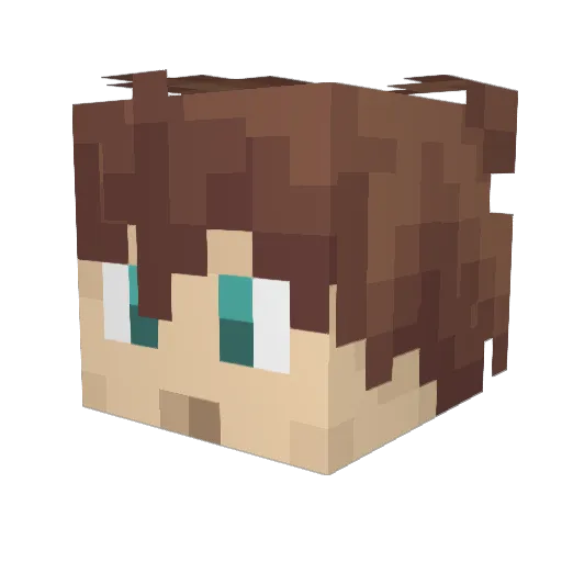 DarkSpineSonic9 Minecraft avatar head, 3D render