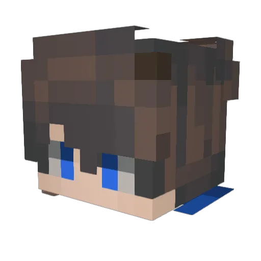 DarkStall24 Minecraft avatar head, 3D render