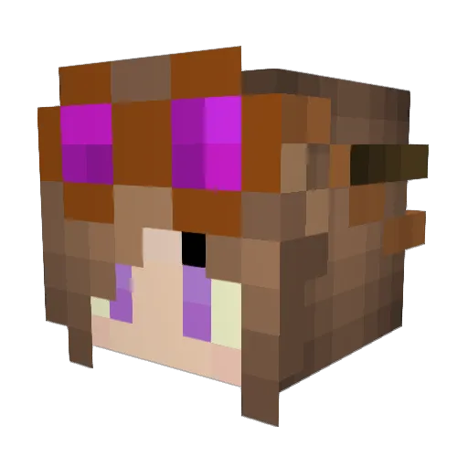 DarkStorm007 Minecraft avatar head, 3D render