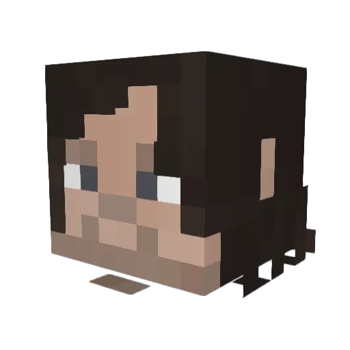 DarkStorm36 Minecraft avatar head, 3D render