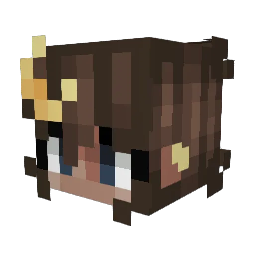 DarkStorm8119 Minecraft avatar head, 3D render