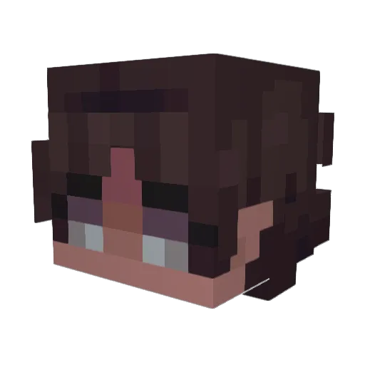 DarkStormsEye Minecraft avatar head, 3D render