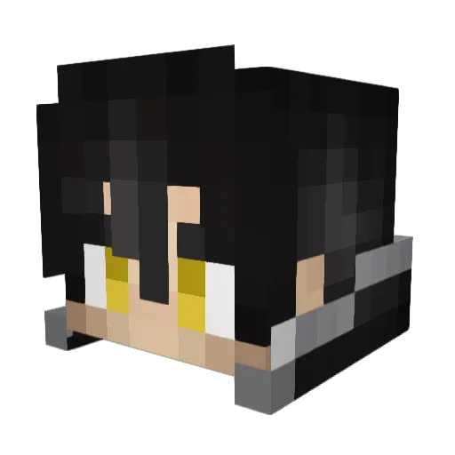 DarkSwordmen525 Minecraft avatar head, 3D render