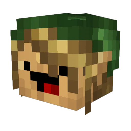 DarkTeras Minecraft avatar head, 3D render