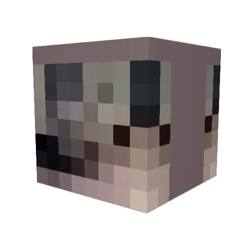 DarkTerminator_ Minecraft avatar head, 3D render