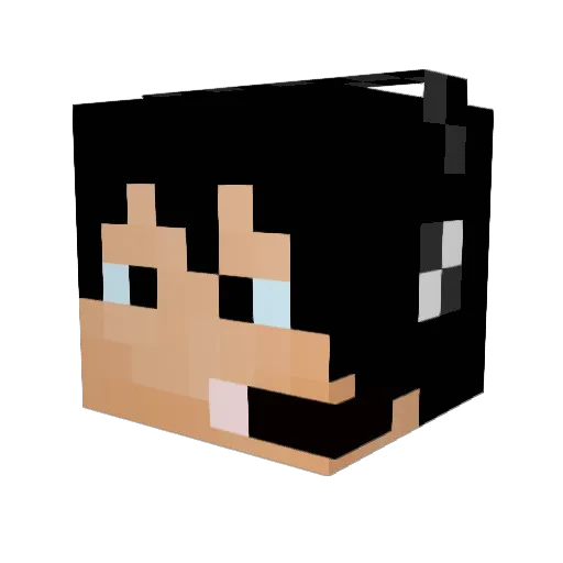 DarkThunder541 Minecraft avatar head, 3D render