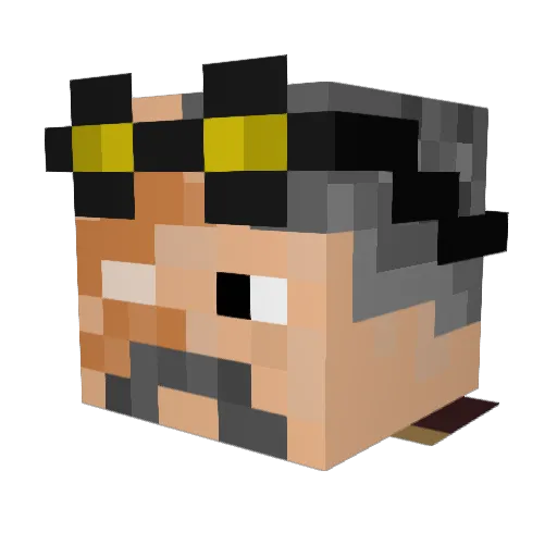 DarkTower66 Minecraft avatar head, 3D render