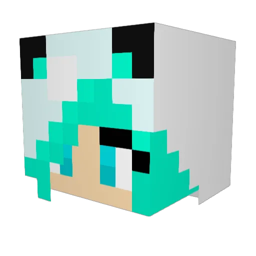DarkTurtles Minecraft avatar head, 3D render