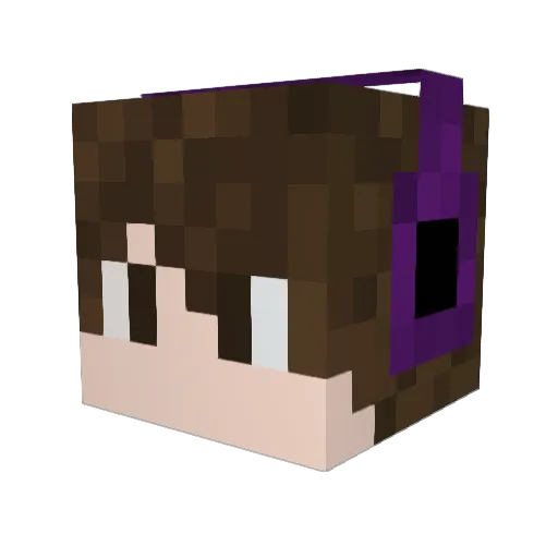 DarkUnit529 Minecraft avatar head, 3D render