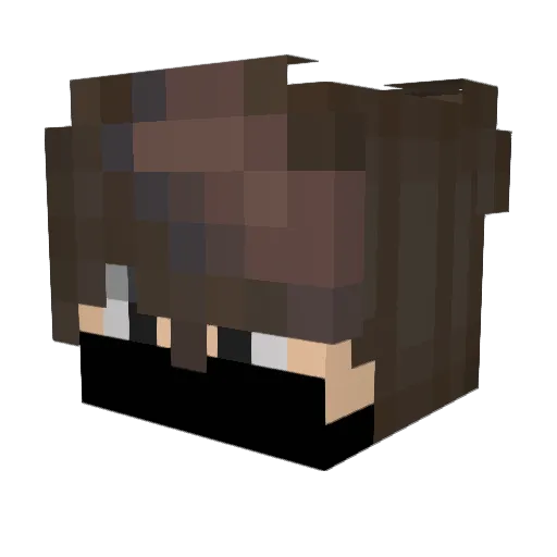 DarkVP9 Minecraft avatar head, 3D render