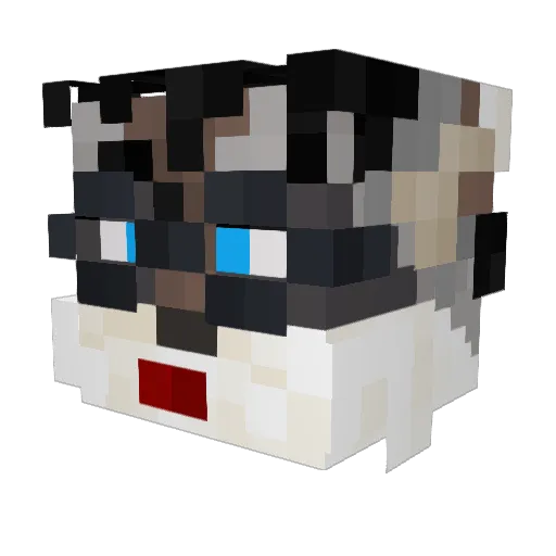 DarkW01ff Minecraft avatar head, 3D render
