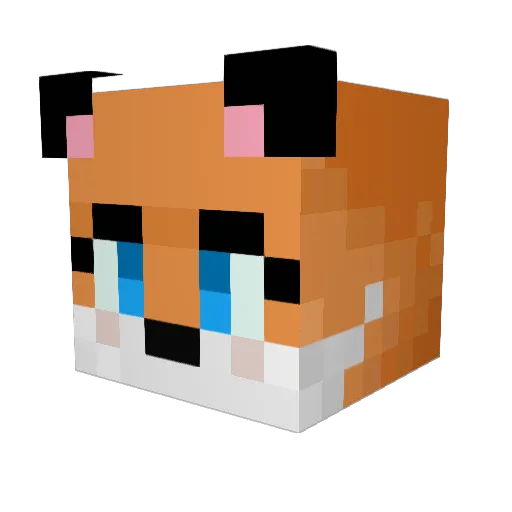 DarkWanderer0 Minecraft avatar head, 3D render