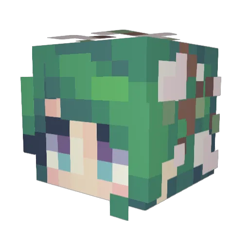 DarkWatcher1199 Minecraft avatar head, 3D render