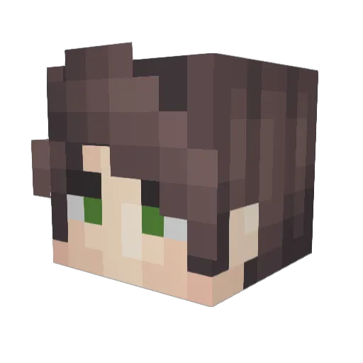DarkWing222 Minecraft avatar head, 3D render