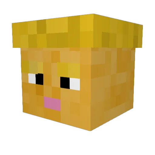 DarkWolf2599 Minecraft avatar head, 3D render