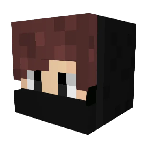 DarkWolfModding Minecraft avatar head, 3D render