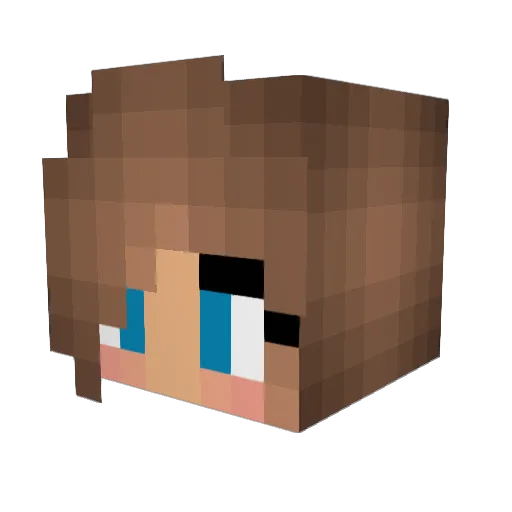 DarkZen18 Minecraft avatar head, 3D render