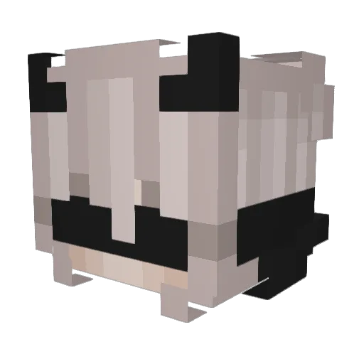 DarkZen2100 Minecraft avatar head, 3D render