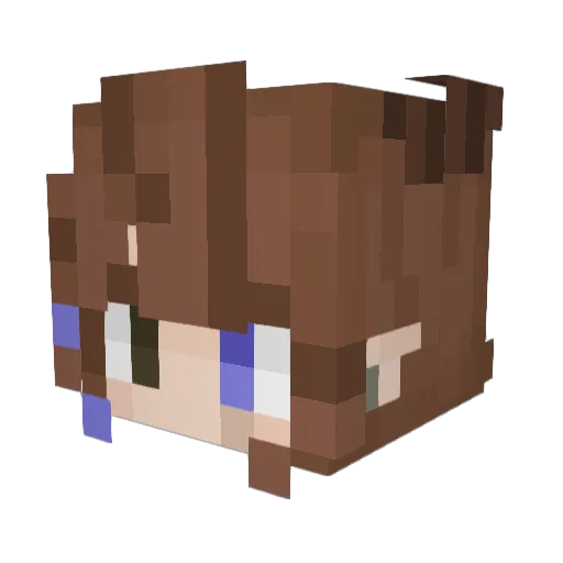 Dark_0050 Minecraft avatar head, 3D render