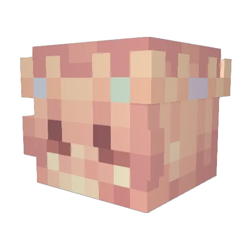 Dark_113 Minecraft avatar head, 3D render