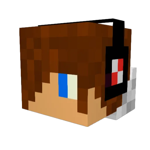 Dark_Assassin2 Minecraft avatar head, 3D render