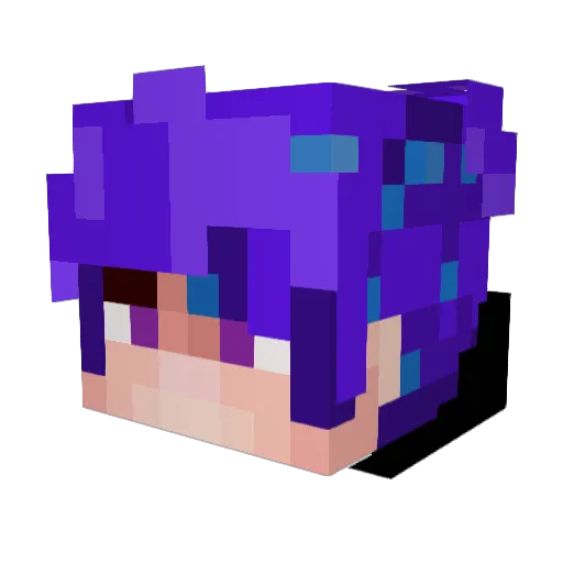 Dark_Calamity201 Minecraft avatar head, 3D render