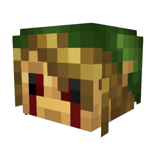 Dark_Destroyer07 Minecraft avatar head, 3D render