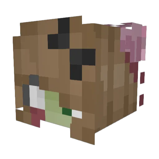 Dark_Dragon15 Minecraft avatar head, 3D render