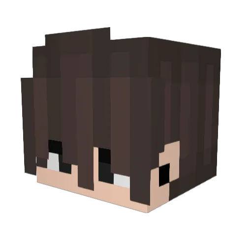 Dark_Evil Minecraft avatar head, 3D render