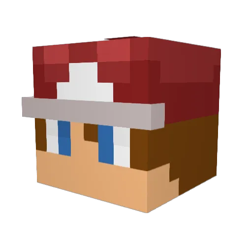 Dark_FireMaster Minecraft avatar head, 3D render