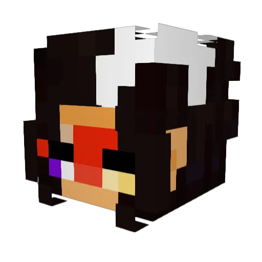 Dark_Forest346 Minecraft avatar head, 3D render