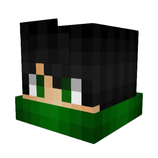 Dark_Green Minecraft avatar head, 3D render