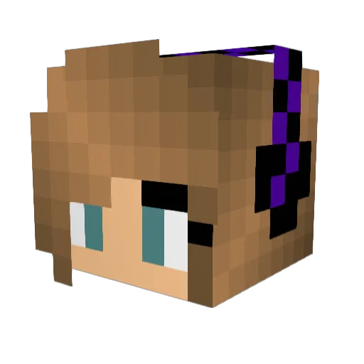 Dark_Hall Minecraft avatar head, 3D render