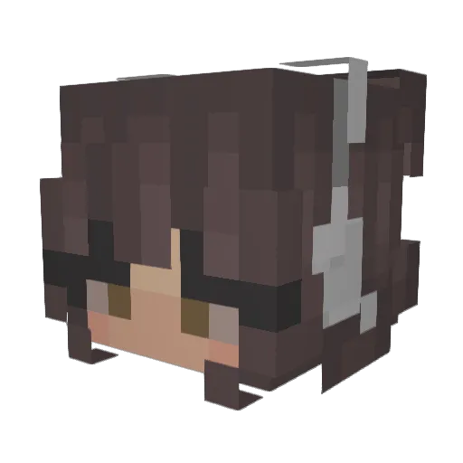 Dark_ILY Minecraft avatar head, 3D render