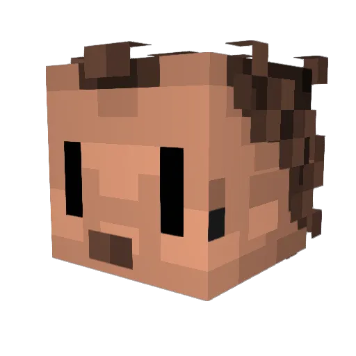 Dark_Knight63 Minecraft avatar head, 3D render
