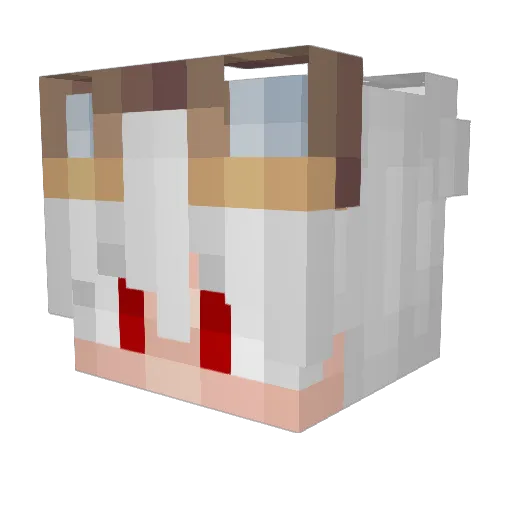 Dark_Lapiz Minecraft avatar head, 3D render