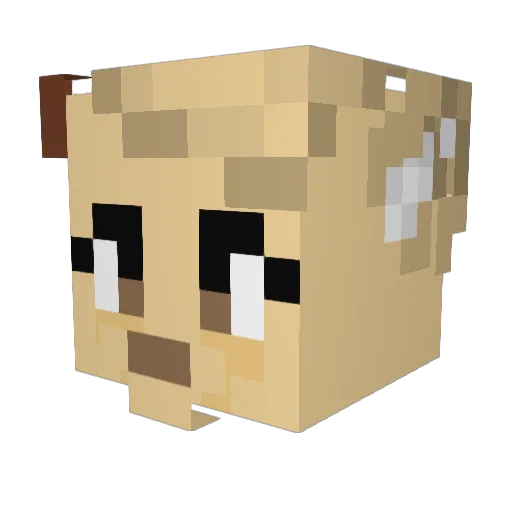 Dark_Lightening Minecraft avatar head, 3D render