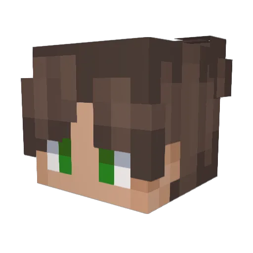 Dark_Lightning Minecraft avatar head, 3D render