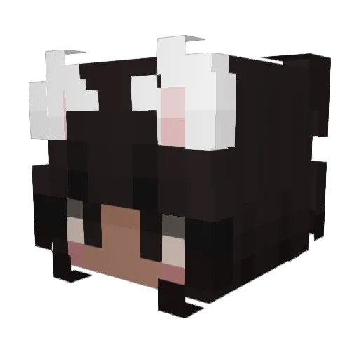 Dark_Mann1 Minecraft avatar head, 3D render