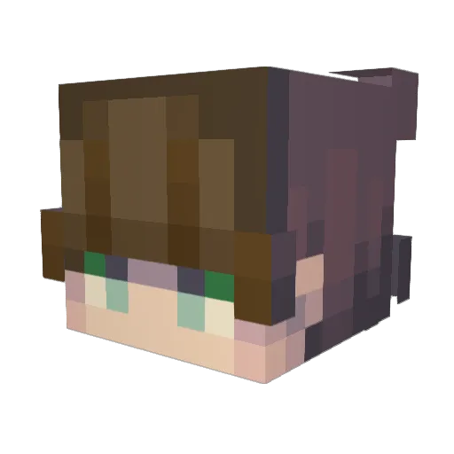 Dark_Matter1 Minecraft avatar head, 3D render