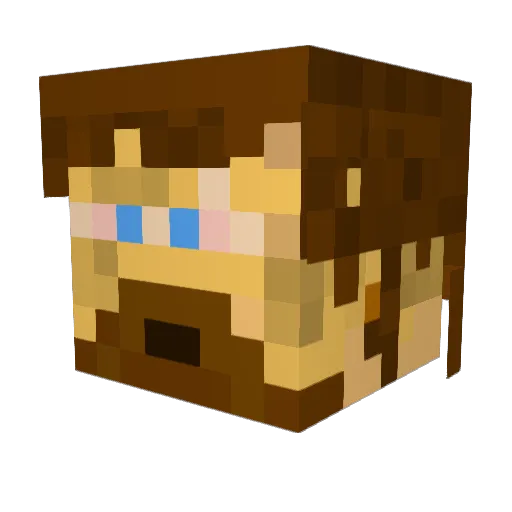 Dark_Palladin Minecraft avatar head, 3D render