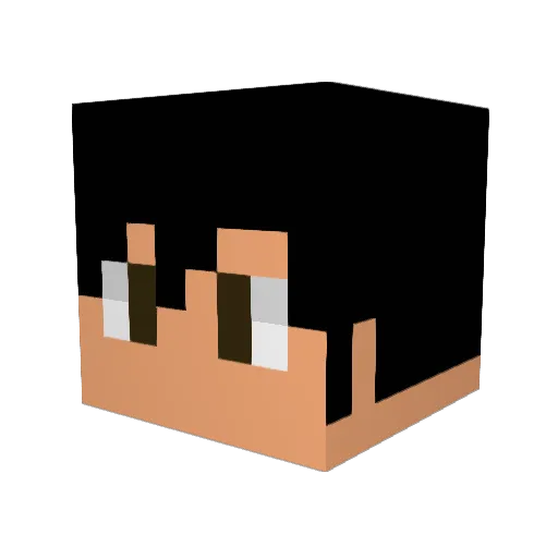 Dark_Steiner Minecraft avatar head, 3D render