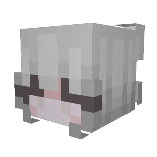 Dark_XVIII Minecraft avatar head, 3D render