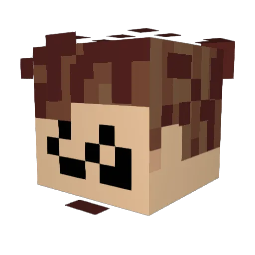 Dark_cat11 Minecraft avatar head, 3D render