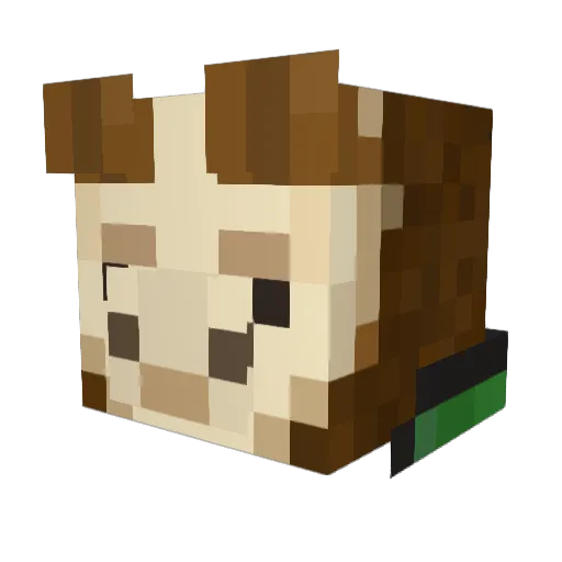 Dark_flyer Minecraft avatar head, 3D render