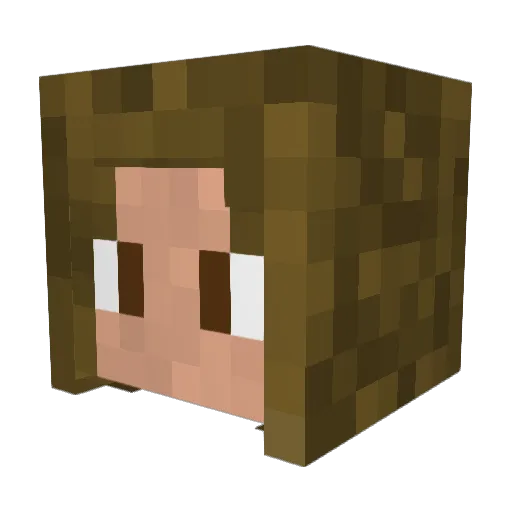 Dark_knight_49 Minecraft avatar head, 3D render
