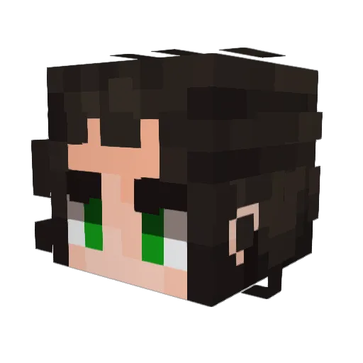 Darkalar Minecraft avatar head, 3D render