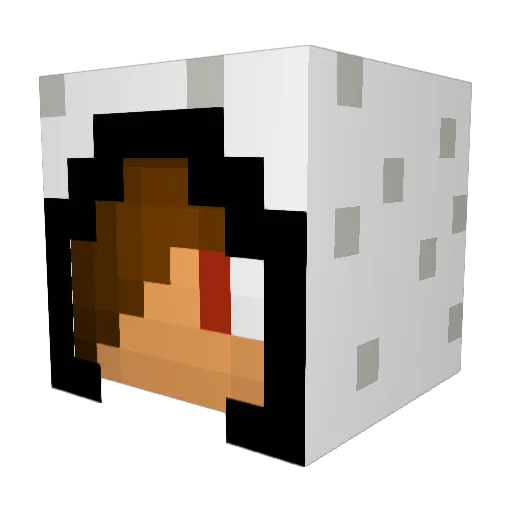 Darkbacca_ Minecraft avatar head, 3D render